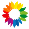 Pride Sonnenblume